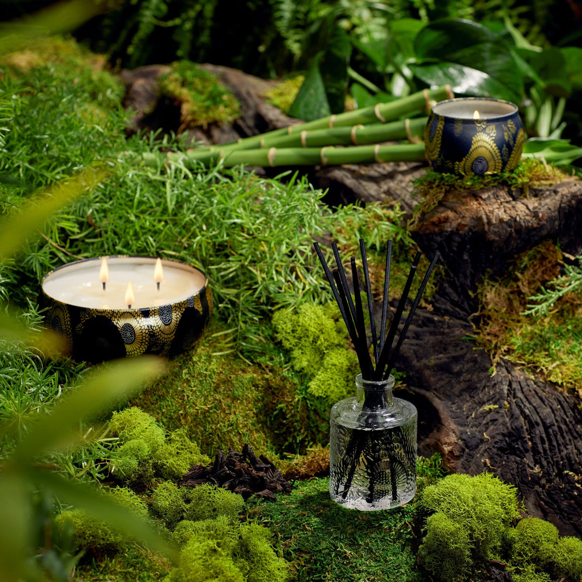 Moso Bamboo - Reed Diffuser