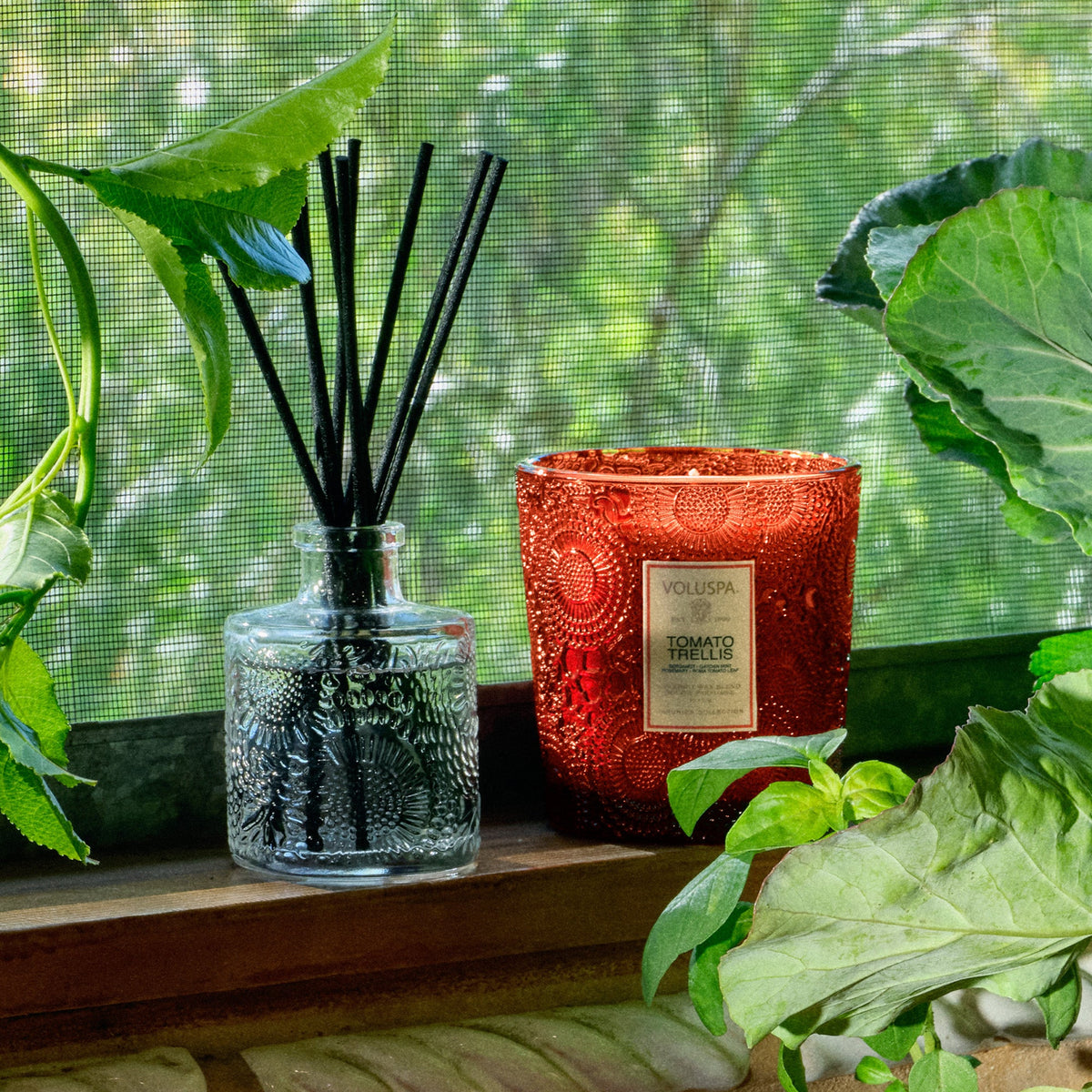 Tomato Trellis - Reed Diffuser